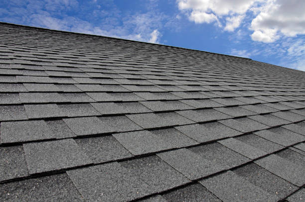 Best Skylight Installation and Repair  in Wilmington, OH